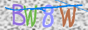 この文字を入力してください