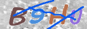 この文字を入力してください