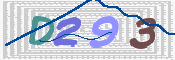 この文字を入力してください
