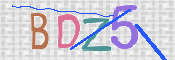 この文字を入力してください