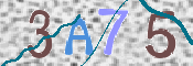 この文字を入力してください