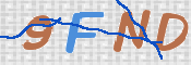 この文字を入力してください