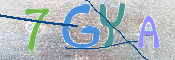 この文字を入力してください