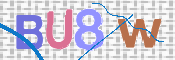 この文字を入力してください