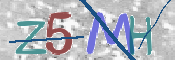 この文字を入力してください