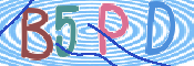 この文字を入力してください