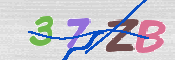 この文字を入力してください