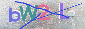 この文字を入力してください