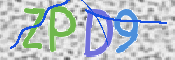 この文字を入力してください
