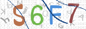 この文字を入力してください