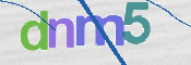 この文字を入力してください