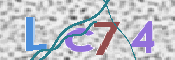 この文字を入力してください