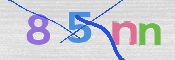 この文字を入力してください
