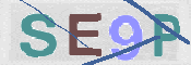 この文字を入力してください