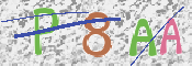 この文字を入力してください