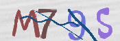 この文字を入力してください