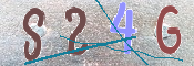 この文字を入力してください