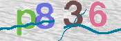 この文字を入力してください