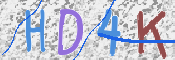 この文字を入力してください