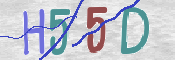 この文字を入力してください