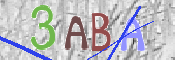 この文字を入力してください