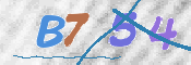 この文字を入力してください
