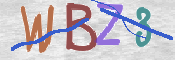 この文字を入力してください