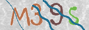 この文字を入力してください