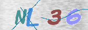 この文字を入力してください
