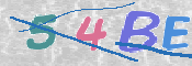 この文字を入力してください