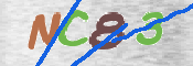 この文字を入力してください