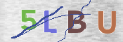 この文字を入力してください