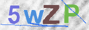 この文字を入力してください