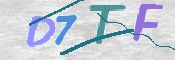 この文字を入力してください