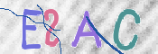 この文字を入力してください