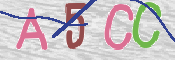 この文字を入力してください
