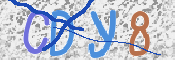 この文字を入力してください