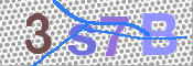 この文字を入力してください