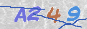 この文字を入力してください