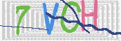 この文字を入力してください