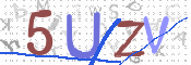 この文字を入力してください