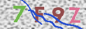 この文字を入力してください