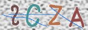 この文字を入力してください