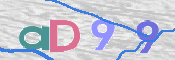 この文字を入力してください