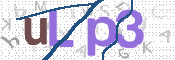 この文字を入力してください