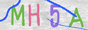 この文字を入力してください