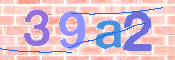 この文字を入力してください