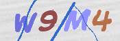 この文字を入力してください