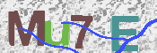 この文字を入力してください