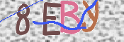 この文字を入力してください